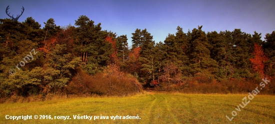 cestou na povabnice