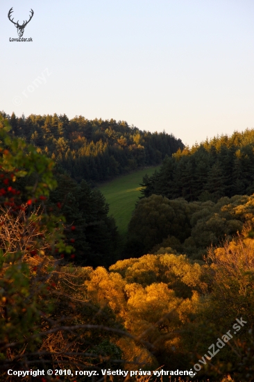 na prechádzke.Galkop