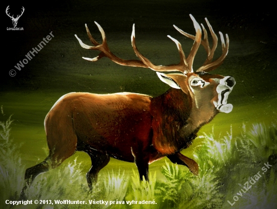 stag