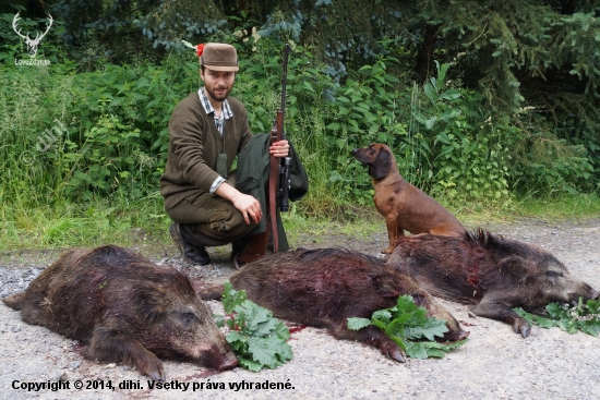 ,zelený koniec týždna doma,