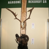 Národné rekordy 2005