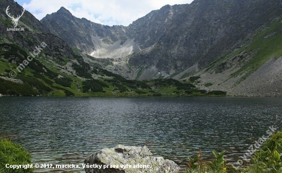 Temnosmrečinské pleso