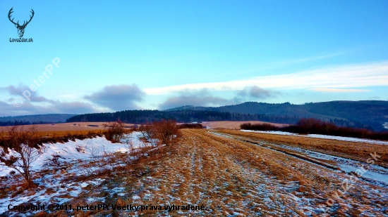 ...pohľad z Kežmarskej cesty na Brezovú /Kotliská/