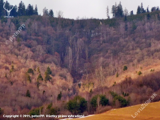 ...pohľad na Kotliská s 20x zoomom pri 3mpix :)