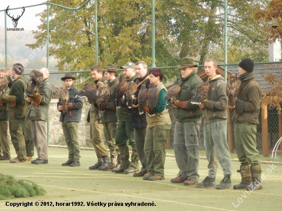 7. medzinárodné sokoliarske stretnutie Sečovce 8.-12.11. 2012