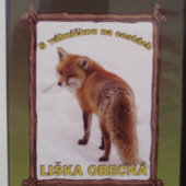 DVD S vabnickou na cestach Liska Obecna