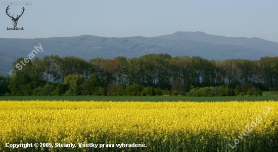 Krajina pod Vihorlatom