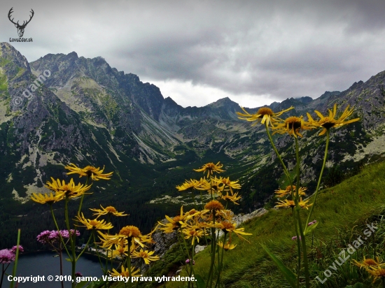 Tatry-  pohľad na Popradské pleso