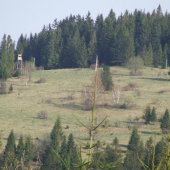 posed na Javorinach, Volovske vrchy