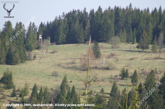 posed na Javorinach, Volovske vrchy