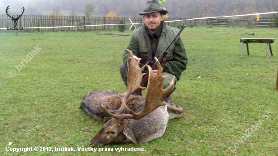 Premoknuty ale spokojny