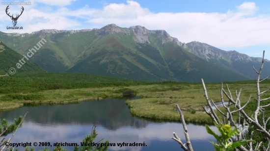 Pohľad na Belianske Tatry