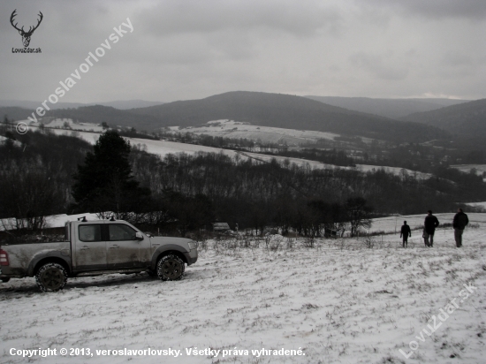 karpaty...domov vlčků....