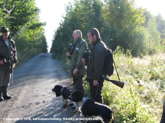 sourozenci(psi) na vrcholné akci