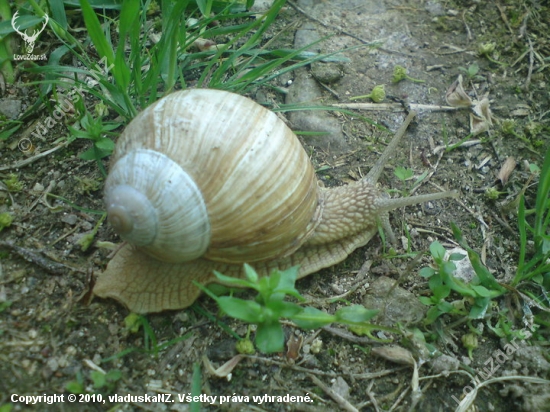 ..pomaly dalej zajdes..