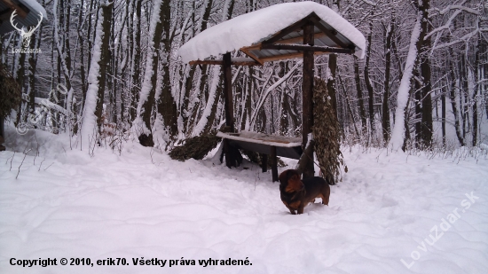 ... v nedeľu sme kŕmili....