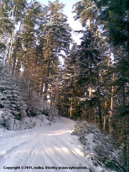 Decembrová krajina