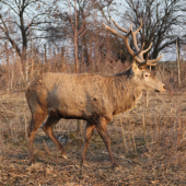 posledne foto ZOFREJA