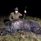 Monster boar