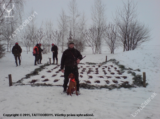 polovka na bazantov