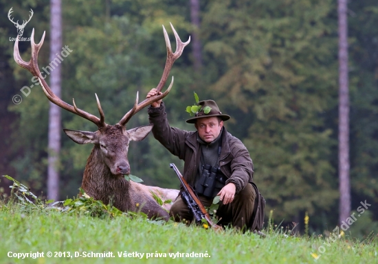 Prvý jeleň