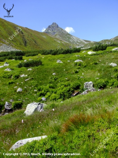 Ostrý Roháč 2088 m.n.m.