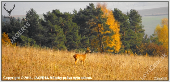 Jesenná nálada