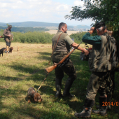 FSMP-   Elza Červený hrun..