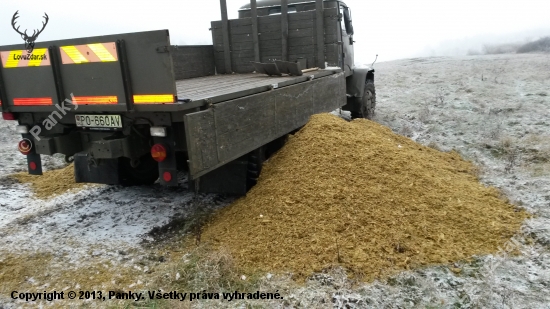 silage