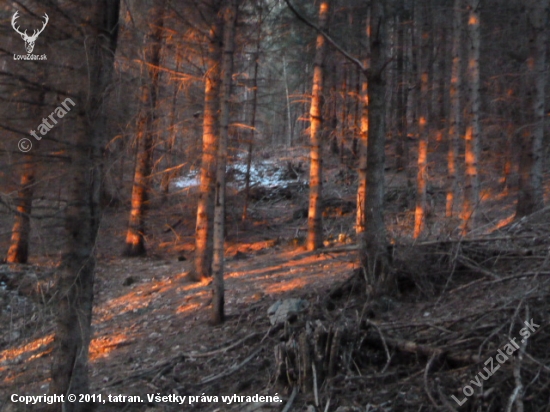 posledne vecerne luce