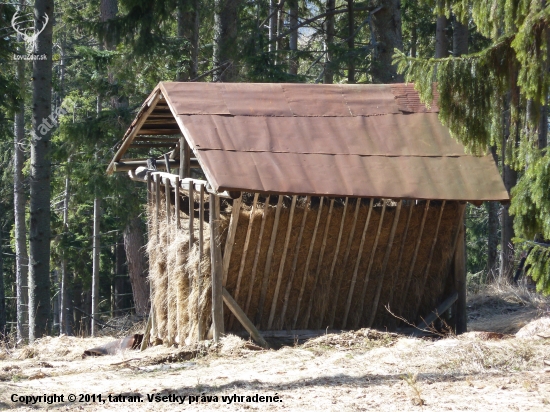 senik pod gaplom