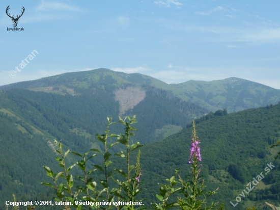 N.Tatry juh gapel.