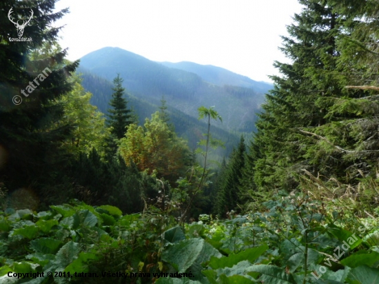 pohlad na babu N.Tatry juh.