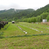 Výstava zhodov parožia 2012 Čierny Váh