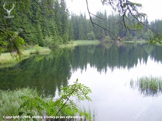 Vrbické pleso v lete