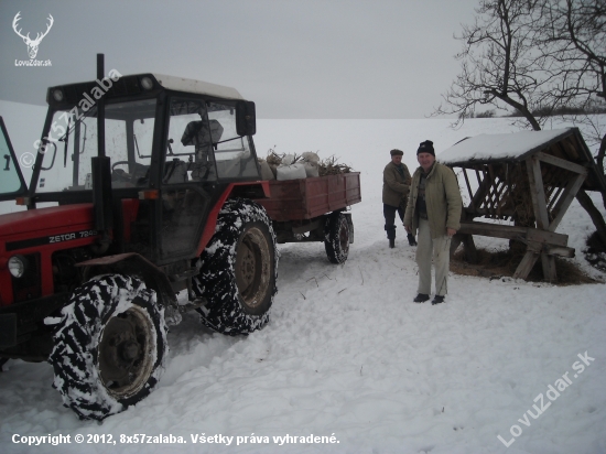 starostlivosť o zver - spoločné krmenie