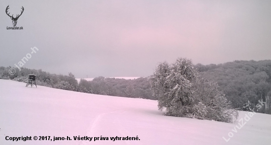 z dnešnej prechádzky