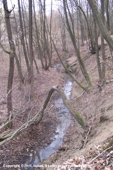 přírodní zdroj živený za pomoci  několika studánek