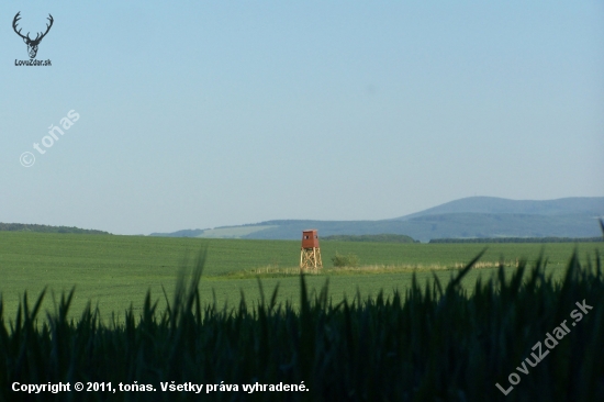 navečer jde příroda do modra