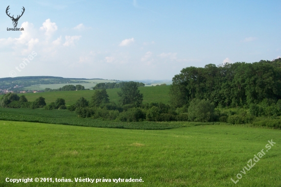 Krajina v mojí rodné