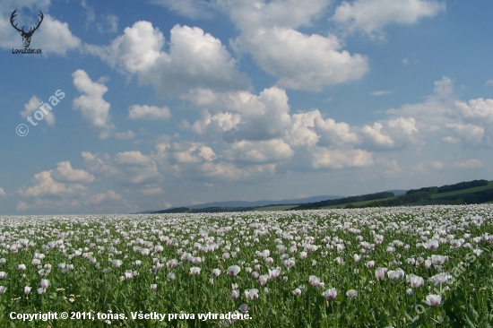 krajina pod sv.Antonínkem