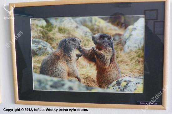 z chovatelské  v Kanianke