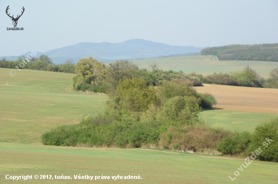 krajina-srnčí oblast