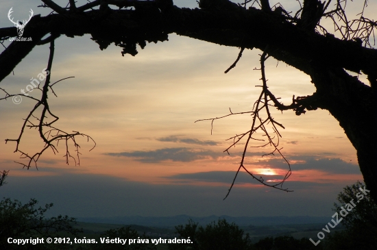 večerní návraty