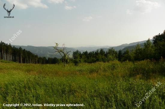 Moravsko Slovenské pomezí