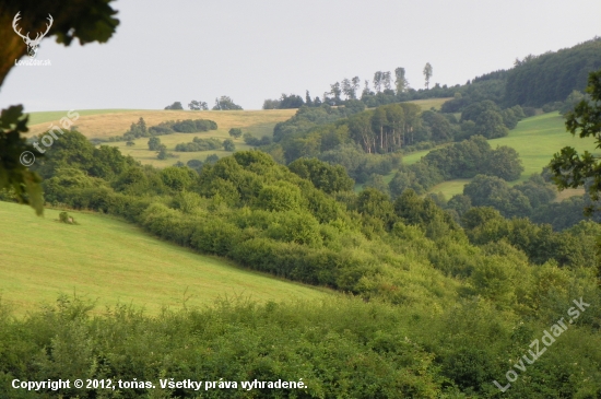 členitá krajina -srnčí oblast