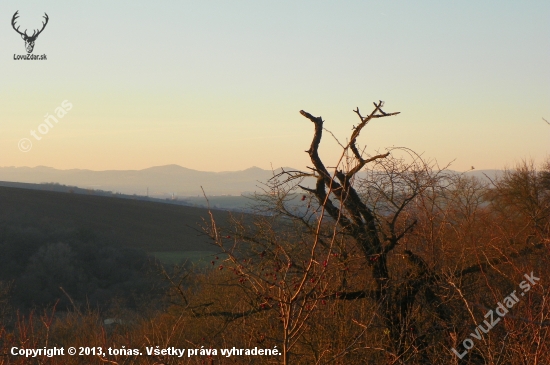 krajina je bez sněhu