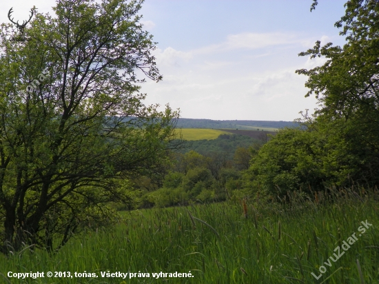 krajina u nás-srnčí oblast