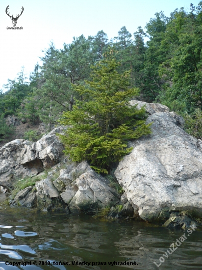 zastavení na vodě