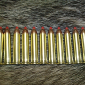 45-70 goverment - Hornady Monoflex 250gr